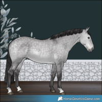 Horse Color:Platinum Buckskin Dun 