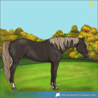 Horse Color:Liver Chestnut  and Liver Chestnut 