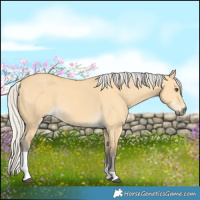 Horse Color:Silver Buckskin Dun Tobiano 