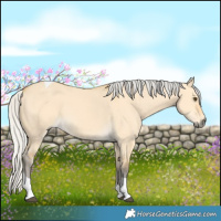 Horse Color:Silver Buckskin Dun Tobiano 