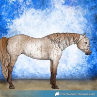 Horse Color:Liver Red Dun  and Gray Red Dun 