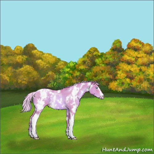 Horse Color:Watercolor White Spotted Silver Buckskin Pearl 