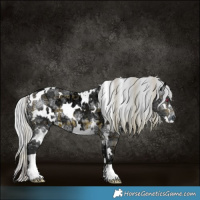 Horse Color:Plaid White Spotted Silver Brown Chinchilla Ice