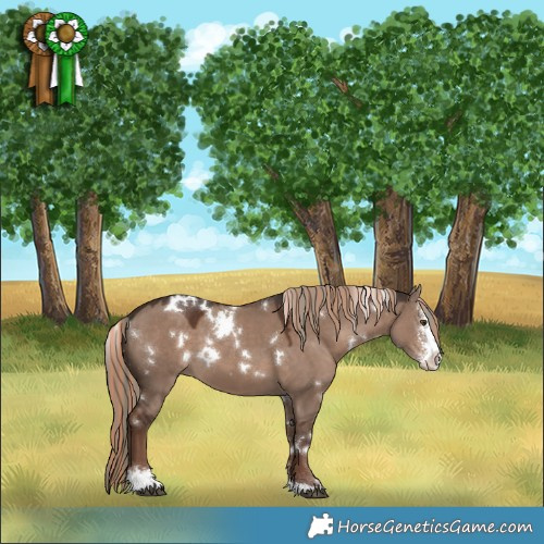 Horse Color:Painted White Spotted Liver Red Dun Mushroom Sabino 