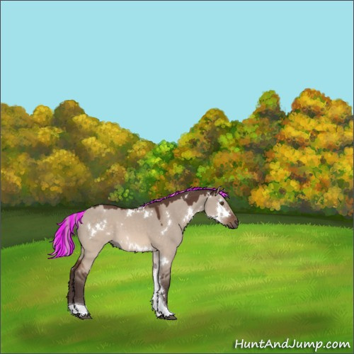 Horse Color:Painted White Spotted Silver Brown Dun Mushroom Tobiano 