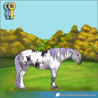 Horse Color:Painted Watercolor White Spotted Silver Bay Ice 