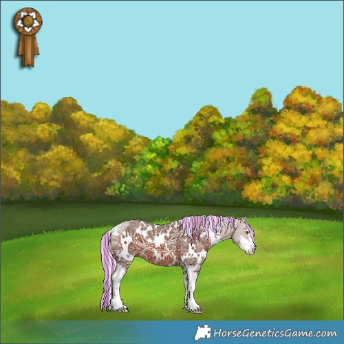 Horse Color:Painted White Spotted Silver Brown Ice Sabino 