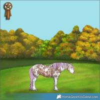 Horse Color:Painted White Spotted Silver Brown Ice Sabino 