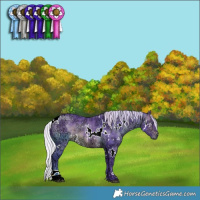 Horse Color:Watercolor White Spotted Silver Brown Chinchilla Ice 