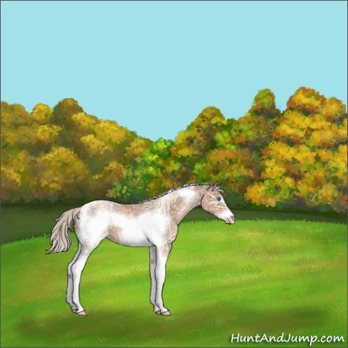 Horse Color:White Spotted Silver Black Ice Pearl Tobiano Frame 