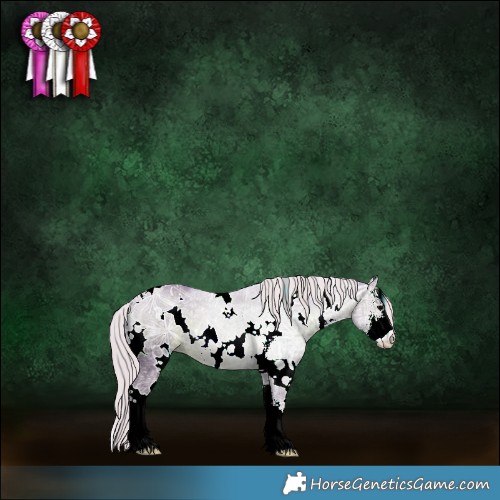 Horse Color:Watercolor White Spotted Silver Black Ice Sabino 