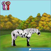 Horse Color:Watercolor White Spotted Silver Black Ice Sabino 