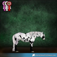 Horse Color:Watercolor White Spotted Silver Black Ice Sabino 
