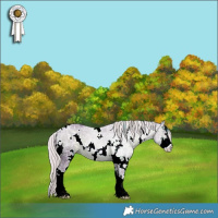 Horse Color:Watercolor White Spotted Silver Black Ice Sabino