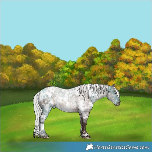 Horse Color:White Spotted Silver Brown Ice 