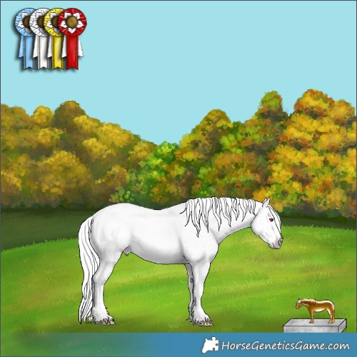 Horse Color:White Spotted Liver Red Dun Chinchilla Ice Brindle 