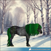 Horse Color:ERROR: UNKNOWN ANOMALY