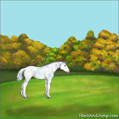 Horse Color:Watercolor White Spotted Silver Brown Chinchilla Ice Tobiano 