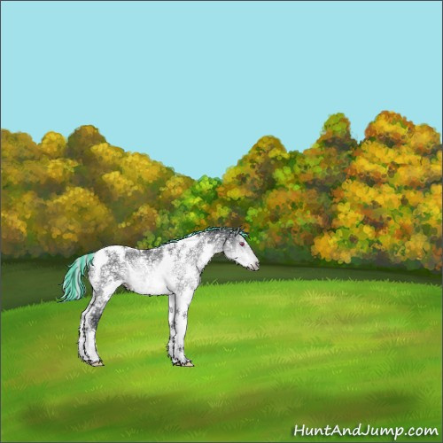 Horse Color:Painted White Spotted Silver Brown Chinchilla Ice Tobiano 