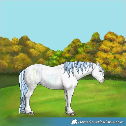 Horse Color:Painted White Spotted Silver Brown Chinchilla Ice Dun Tobiano Brindle 