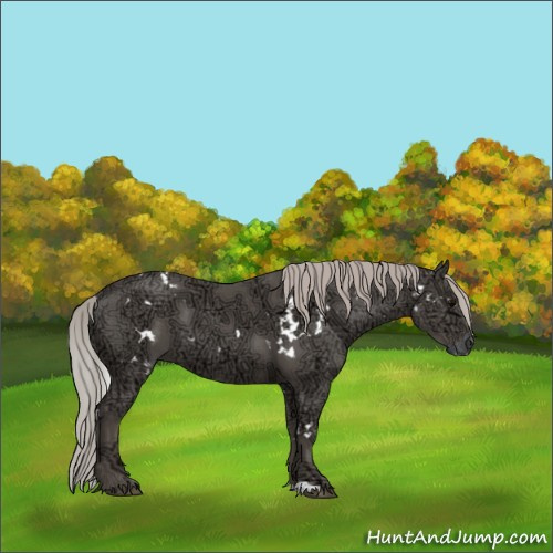 Horse Color:White Spotted Silver Black Ice 