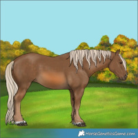 Horse Color:Chocolate Palomino 