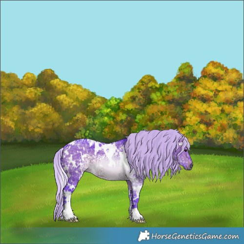 Horse Color:Watercolor White Spotted Silver Brown Ice Dun Sabino 