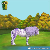 Horse Color:Watercolor White Spotted Silver Brown Ice Dun Sabino