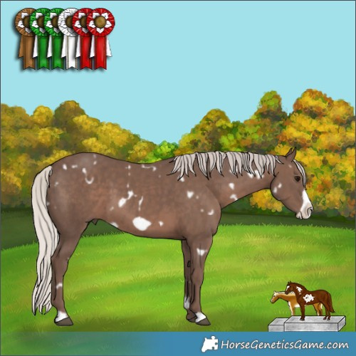 Horse Color:White Spotted Silver Black Frame 