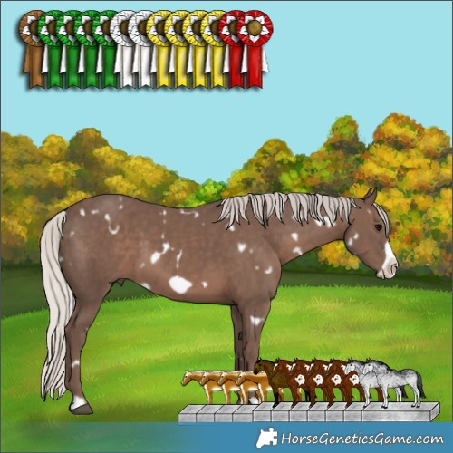 Horse Color:White Spotted Silver Black Frame 