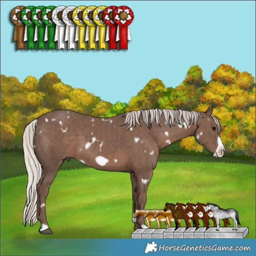 Horse Color:White Spotted Silver Black Frame 