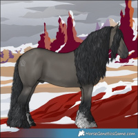 Horse Color:Grullo Sabino Rabicano