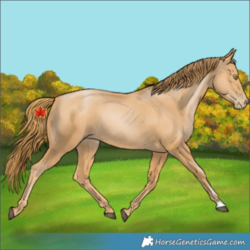 Horse Color:Chestnut Pearl 