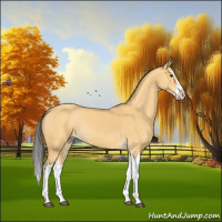 Horse Color:Buckskin Dun Splash 