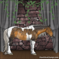 Horse Color:Silver Buckskin Tobiano Rabicano