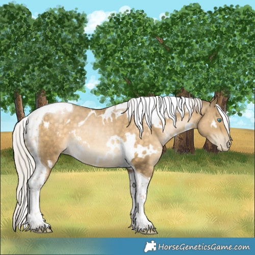 Horse Color:White Spotted Silver Buckskin Pearl Tobiano Rabicano 