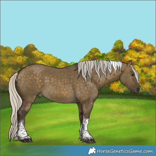 Horse Color:Silver Buckskin Dun Tobiano 