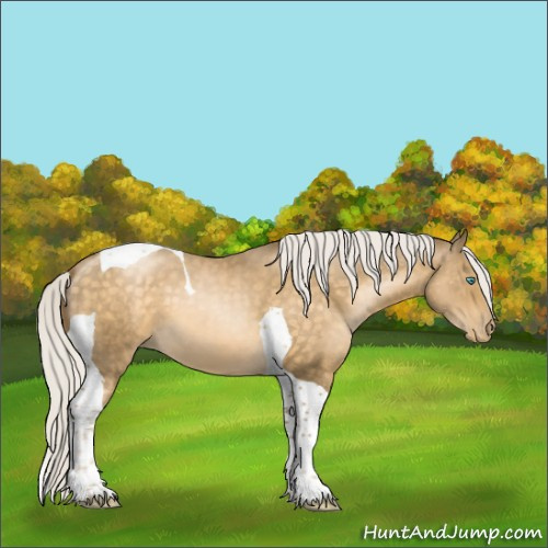 Horse Color:Silver Buckskin Pearl Tobiano 