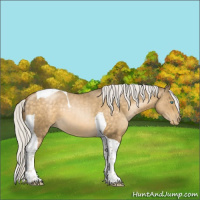 Horse Color:Silver Buckskin Pearl Tobiano 