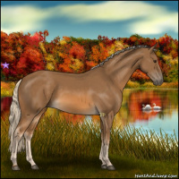 Horse Color:Chocolate Palomino 