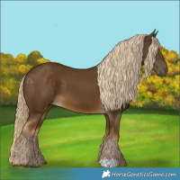 Horse Color:Chocolate Palomino