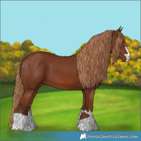 Horse Color:Chestnut 