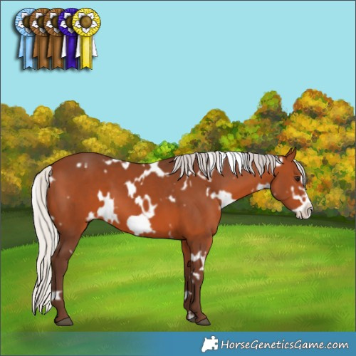 Horse Color:White Spotted Silver Brown Frame 