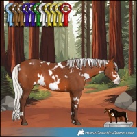 Horse Color:White Spotted Silver Brown Frame 