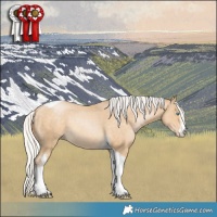 Horse Color:White Spotted Silver Buckskin Pearl Tobiano 