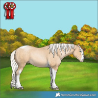 Horse Color:White Spotted Silver Buckskin Pearl Tobiano 