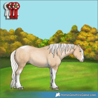 Horse Color:White Spotted Silver Buckskin Pearl Tobiano