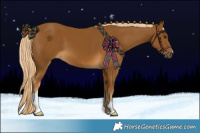 Horse Color:Chocolate Palomino