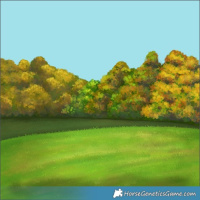 Horse Color:Silver Bay Roan Dun Frame 