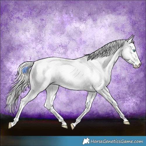 Horse Color:Cremello Roan Dun 